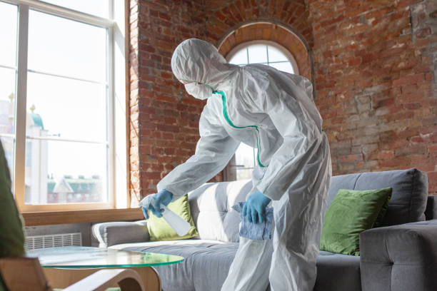 Best Industrial Mold Remediation  in USA